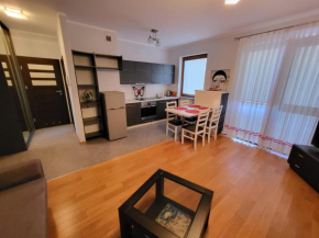 Apartament Centrum